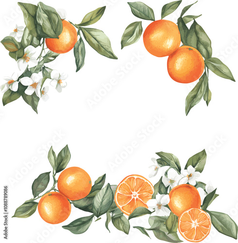 vector watercolor oranges with flowers border set on white, perfect for invitation card design, orange botanical Wedding Invitation, floral invite thank you,  modern card Design in oranges and flowers