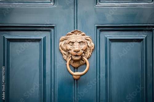 Obraz na płótnie Lion's head as door knocker on old wooden door