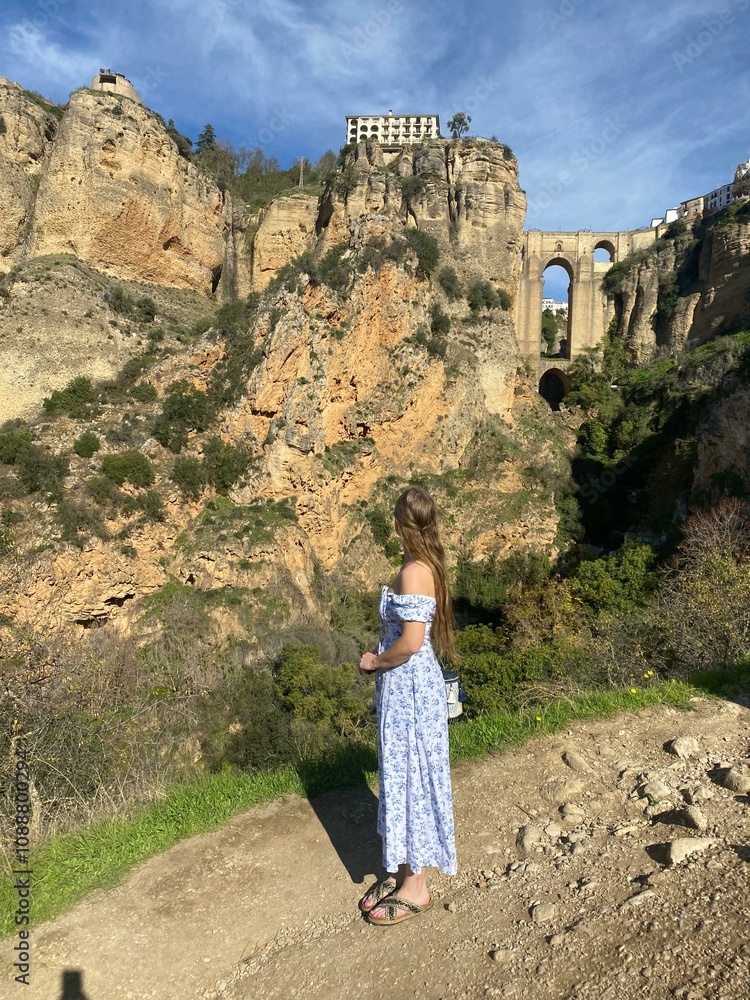 Naklejka premium Elegant woman in classy dress walking through wine fields, fashion model in stylish dress posing in vineyard with sky backdrop, beautiful lady in elegant gown surrounded by lush wine fields, glamorous