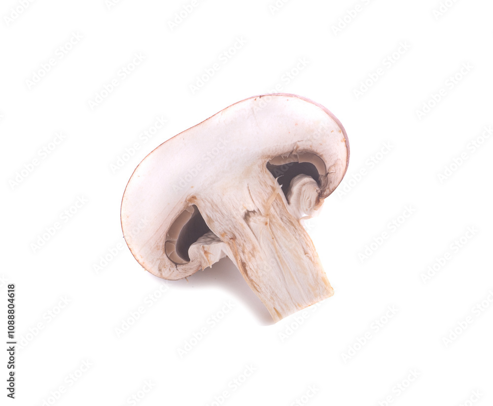 Fototapeta premium Fresh shiitake mushrooms on white background
