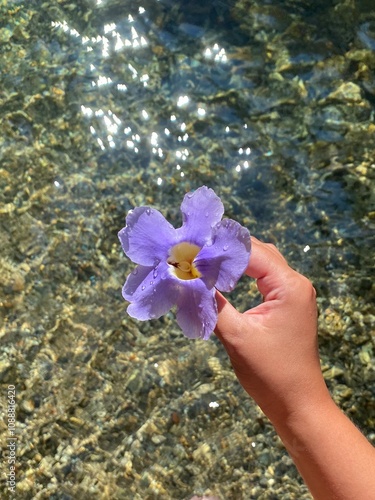 Flower by a river photo