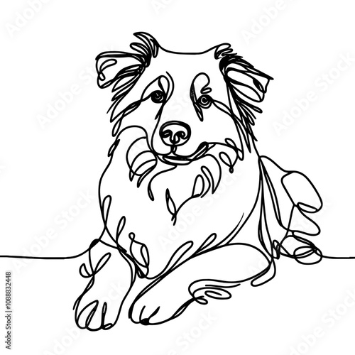 Minimalist Line Art of  Australian Shepherd dog