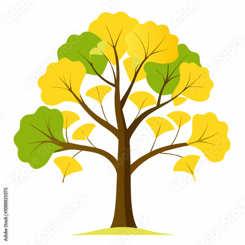 Beautiful ginkgo bilabial tree vector illustration on white background 