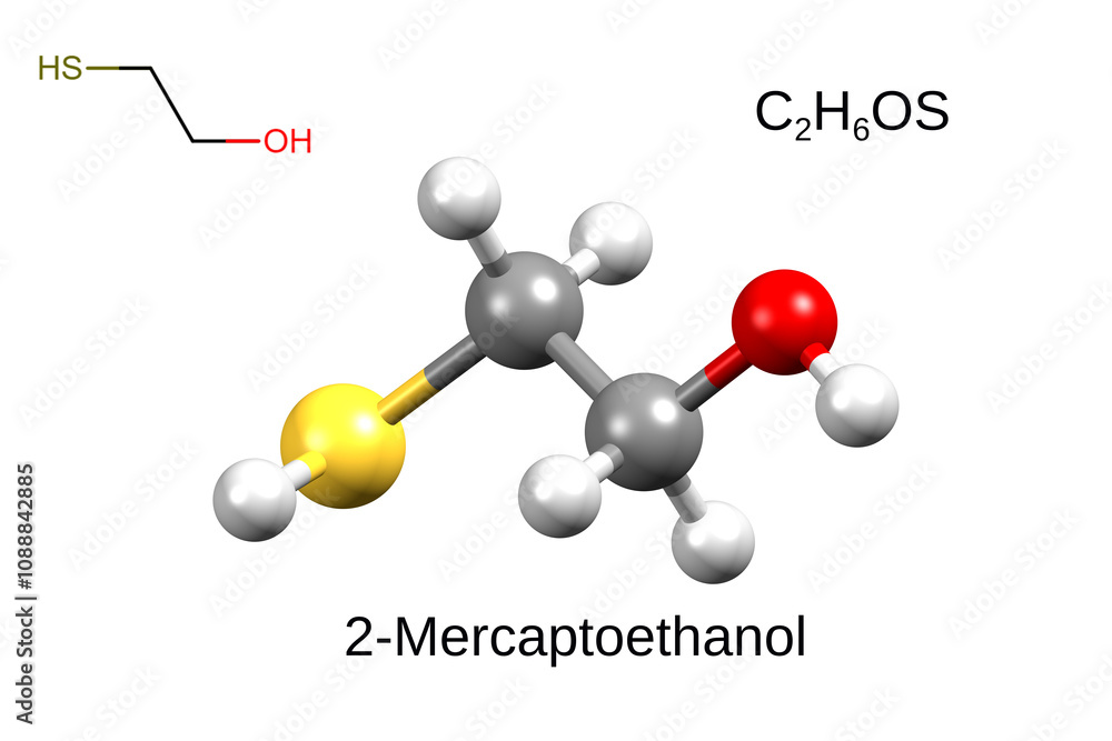 Structure of 2-mercaptoethanol. Chemical formula, structural formula and 3D ball-and-stick model Structure of 2-mercaptoethanol. Chemical formula, structural formula and 3D ball-and-stick model
