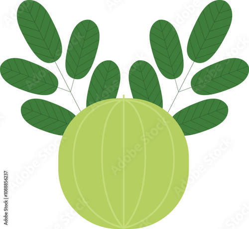 Amla stylized vector illustration
