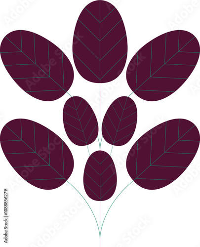 Smoke bush leaf stylized vector illustration