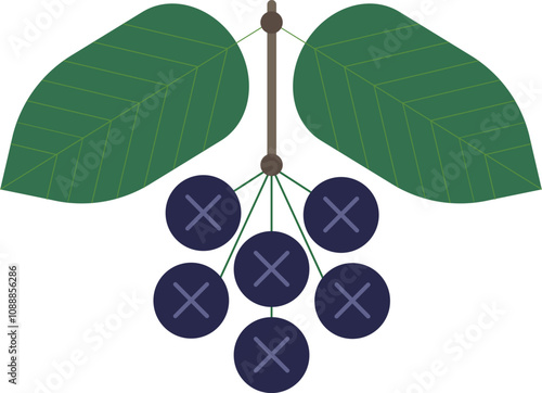 Aronia stylized vector illustration