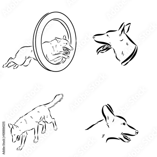 Scenes of dog training with cartoon characters of man and his pet learning various commands