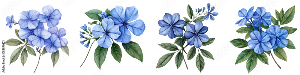 Fototapeta premium Delicate Plumbago Flowers in Vibrant Watercolor Painting