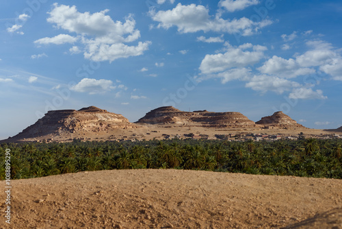 landscape in the desert