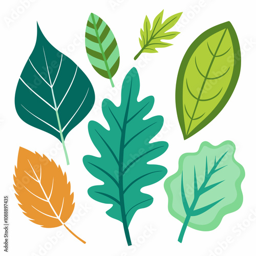 Different type of atlantic leaves vector illustration on white background