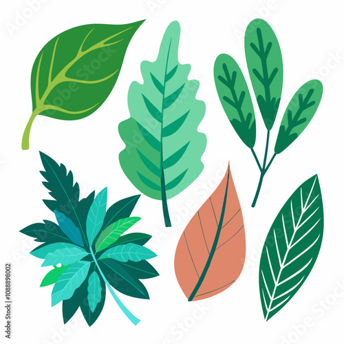 Different type of atlantic leaves vector illustration on white background