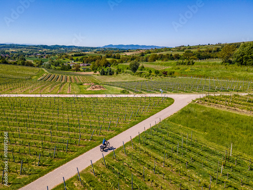 Der badische Weinradweg - ein einzelner Radler fährt durch die Weinberg
