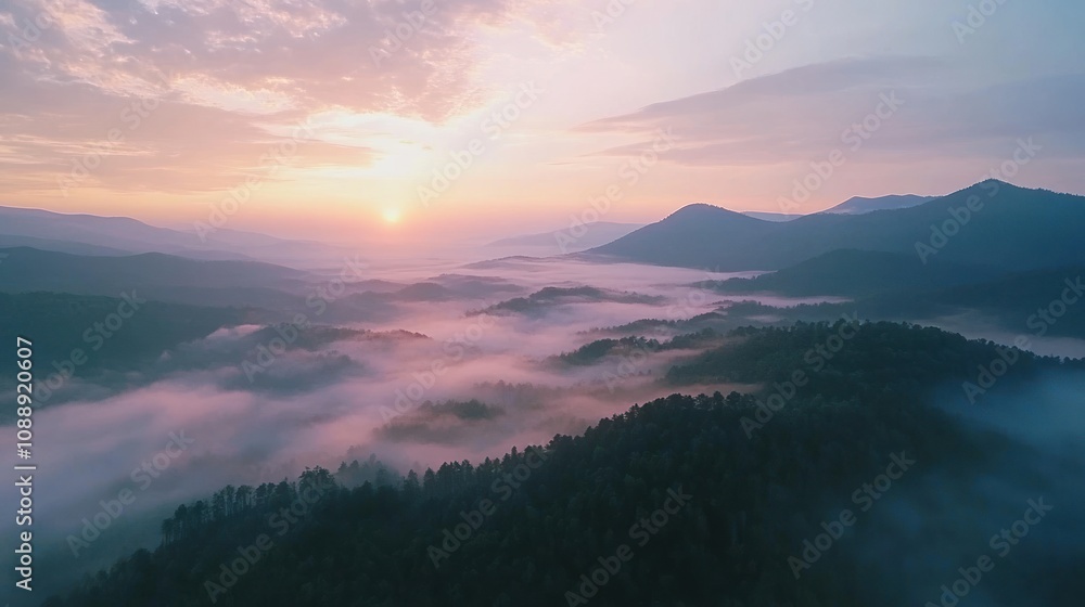 Aerial view of misty mountains and forest at sunrise. Nature and tranquility concept. Aerial view of misty mountains and forest at sunrise. Nature and tranquility concept.