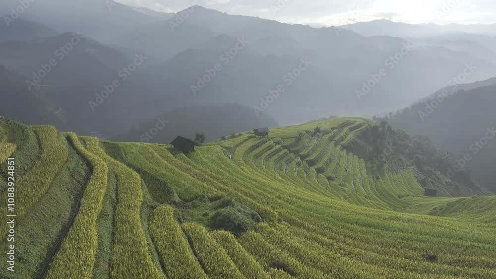 Aerial view of Mu Cang Chai rice filed in Vietnam Aerial view of Mu Cang Chai rice filed in Vietnam