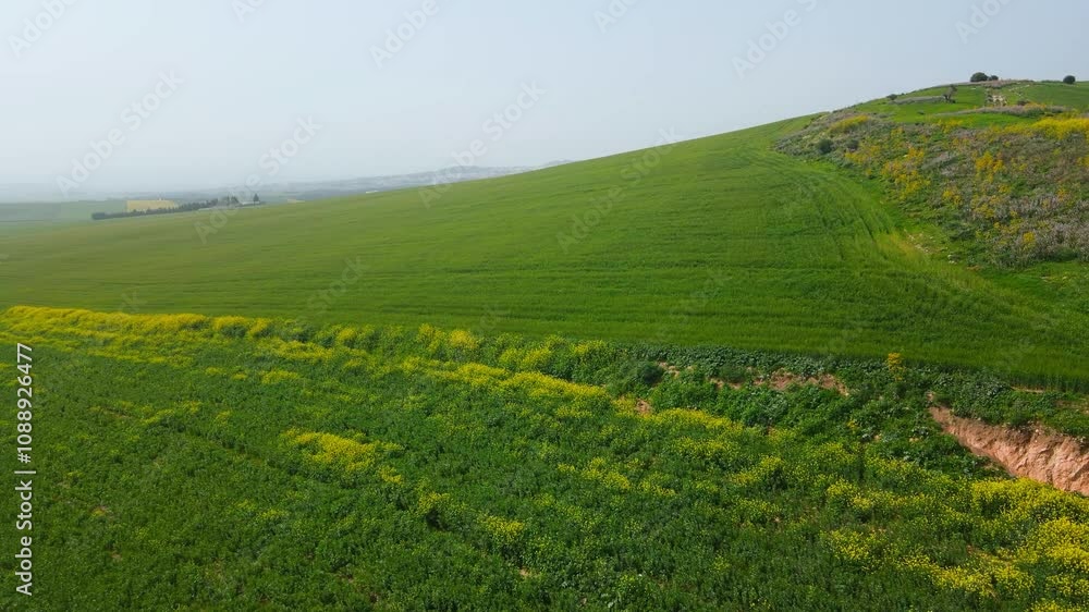 The scene is an aerial view of a green fields and mountains with green grass and flowers there are green fields and mountains in the distance. The scene is an aerial view of a green fields and mountains with green grass and flowers there are green fields and mountains in the distance.