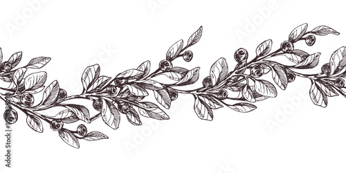 Blueberry sprigs with berries and leaves. Graphic illustration, hand drawn with brown ink, line art monochrome. Seamless border, pattern, simple on the theme of forest, harvest, nature.