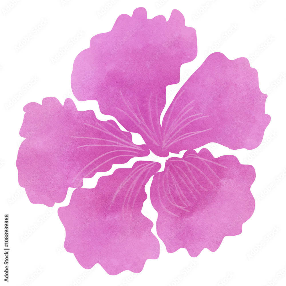 Hibiscus flower silhouettes pink Gradient watercolor Hibiscus flower silhouettes pink Gradient watercolor