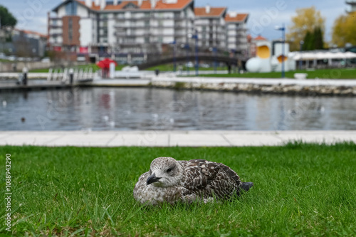 Paisagem serena vista do Cais da Fonte Nova, Aveiro, com seus canais tranquilos, barcos coloridos e arquitetura típica, refletindo a beleza única e o charme pitoresco da cidade portuguesa