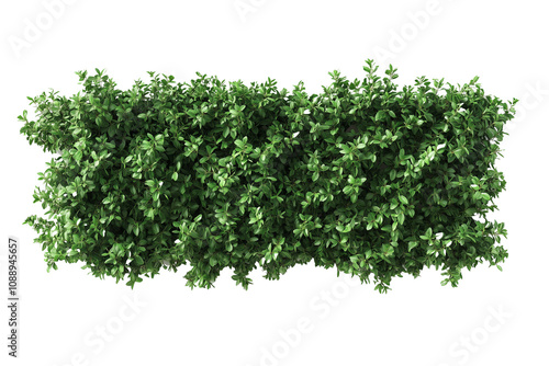 Top view of a hedge row isolated or on white background 3d render png. Architecture plan