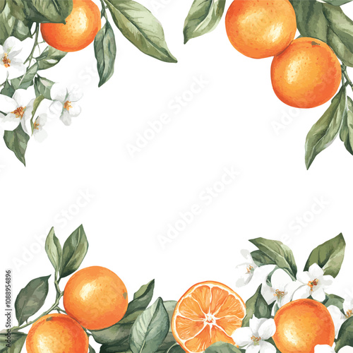 vector watercolor oranges with flowers border set on white, perfect for invitation card design, orange botanical Wedding Invitation, floral invite thank you, modern card Design in oranges and flowers