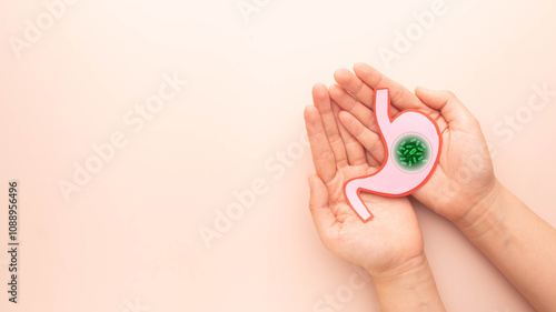 Helicobacter pylori bacteria infects human stomach. Awareness of H.pylori infections may result in stomach inflammation (gastritis), peptic ulcer disease. Gastrointestinal concept.