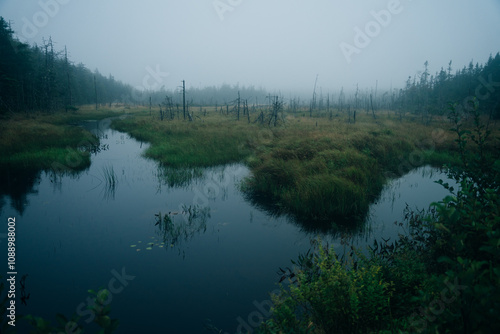 Imagery with small lakes, forest and beautiful blue sky with big puffy clouds in Summertime.