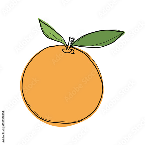 Orange, hand-drawn with outline, leaves, isolated on a white background, flat design, vector. A bright colored element, juicy, fresh, sweet citrus fruit for decoration, design, labels, icons.