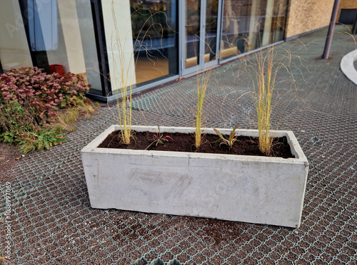 two gray flower pots at the parkting on the terrace with an artificial  reminiscent of a lawn. in a pot there are grases and purple flowers. spa park near restaurant, cement smooth photo