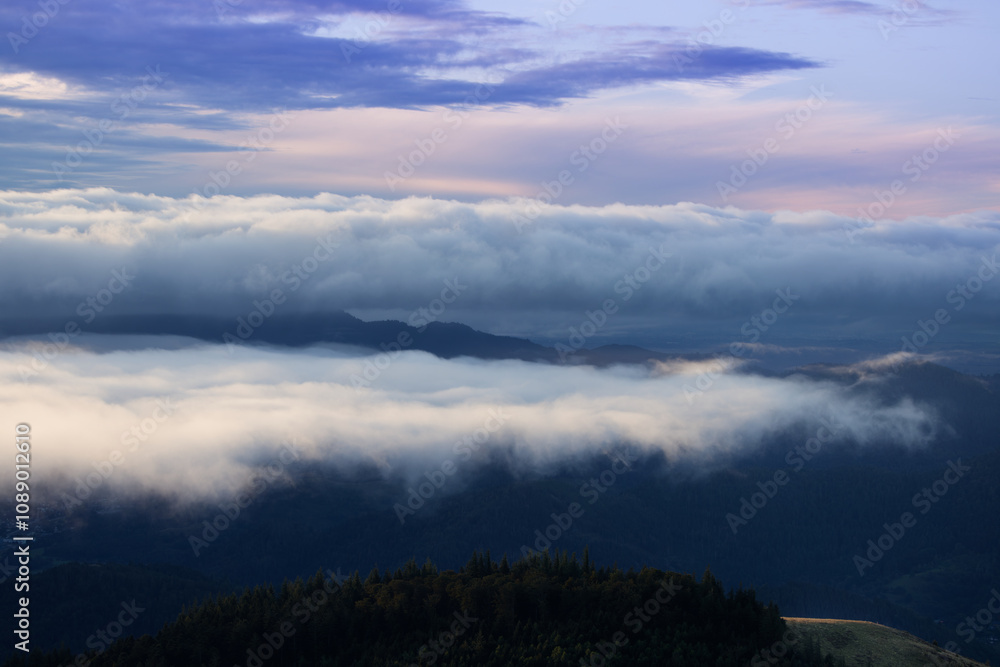 Fototapeta premium Brume sur les sommets des Vosges