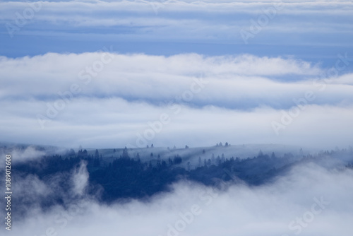 Wallpaper Mural Brume sur les sommets des Vosges Torontodigital.ca