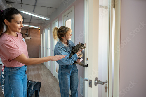 Woman owner visits pet hotel to arrange cats stay, with female staff member discussing care policies. Employee introduces to cat, offering hand for familiar scent check, helping cat feel at ease photo