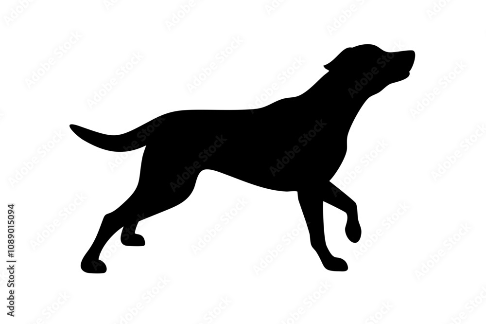 Dog silhouette. Vector silhouette of dog on white background. Dog silhouette. Vector silhouette of dog on white background.