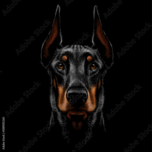 Doberman. A graphic, color portrait of a Doberman on a black background.