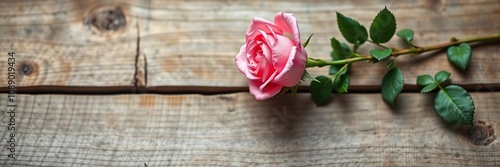 A lone pink rose on a reclaimed wood beam, rose, natural, flower