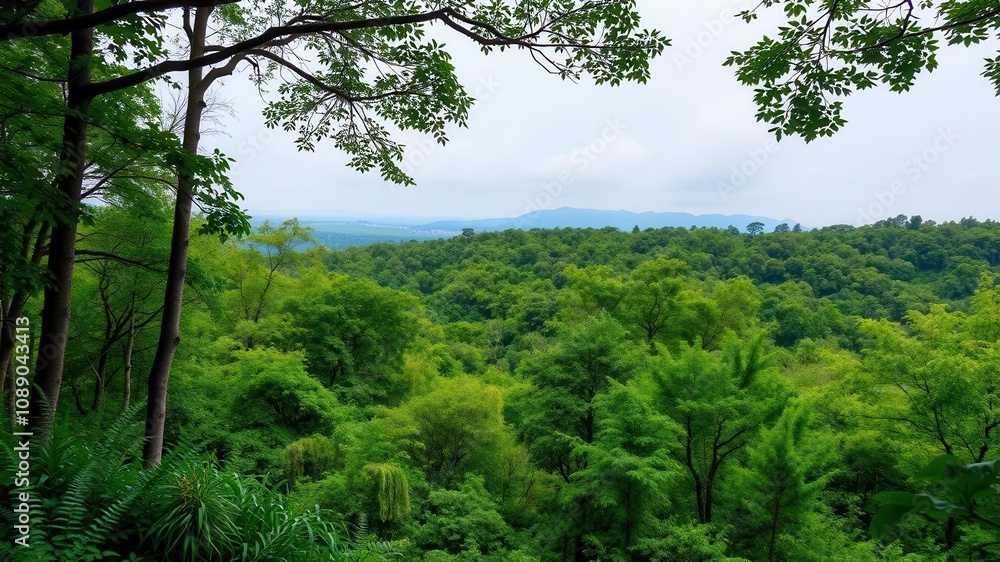 Thick lush forest with tall trees and dense foliage in the background, peaceful, greenery, lush Thick lush forest with tall trees and dense foliage in the background, peaceful, greenery, lush
