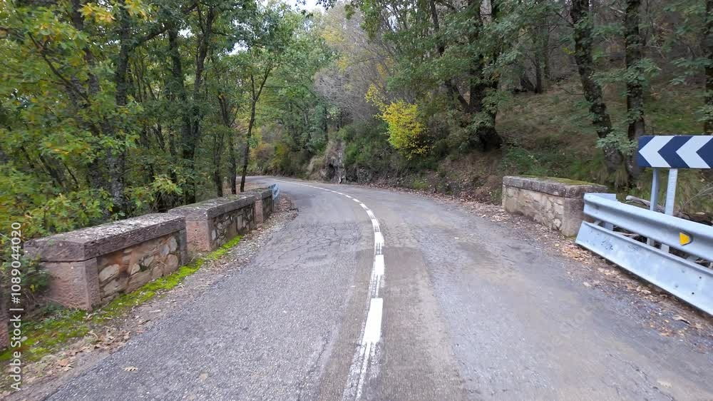 Mountain road between large trees with golden leaves in autumn, Segovia, Spain. Mountain road between large trees with golden leaves in autumn, Segovia, Spain.