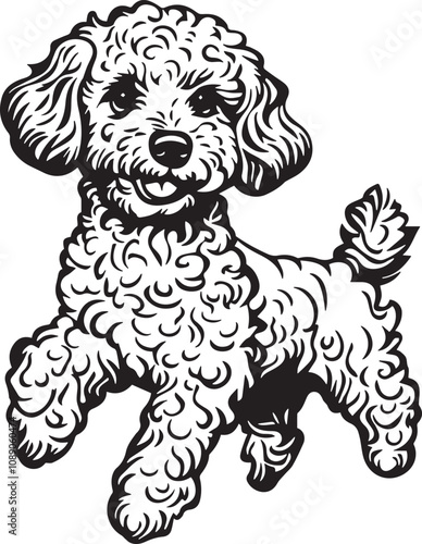 running toy poodle dog