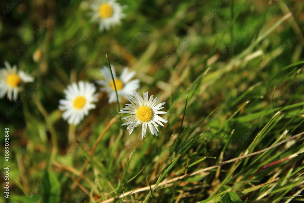 Flowers need time to bloom. So do you. Flowers need time to bloom. So do you.