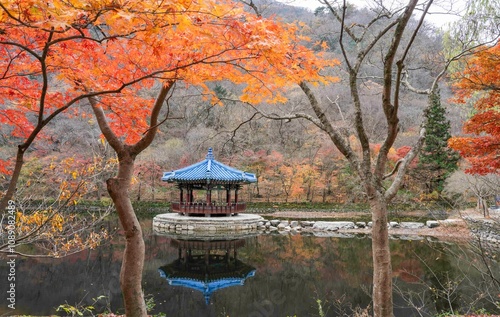 파란 기와지붕의 정자가 물에 비치는 풍경 photo