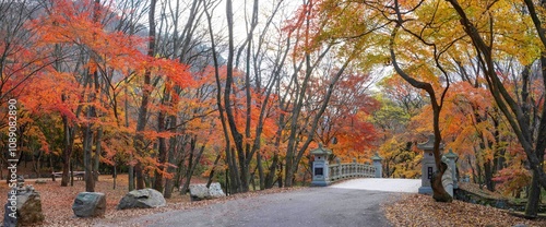 Foto 정읍시 내장사 경내의 빨갛게 물든 단풍 숲