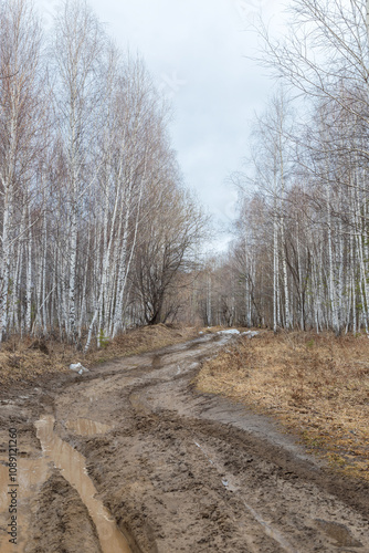 Obraz na płótnie Muddy Road