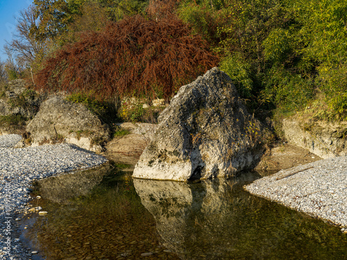 Landscape of the dry Piave riverbed in Italy with autumn colored plants on a rock photo