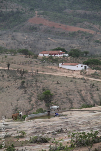  vista a partir da pedra da macambina, araruna, paraíba photo