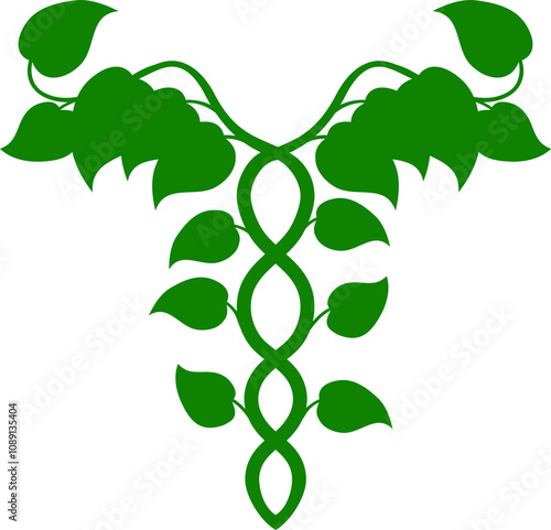 Holistic Medicine Caduceus ...