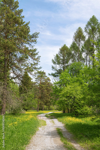 Obraz na płótnie Summer Road