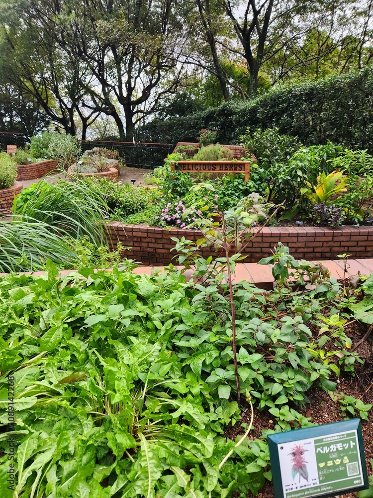 Garden Garden