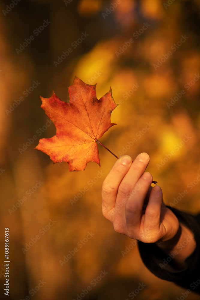 Der Herbst zeigt seine schönsten Farben