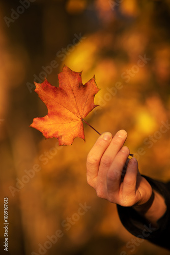 Obraz na płótnie Der Herbst zeigt seine schönsten Farben w salonie