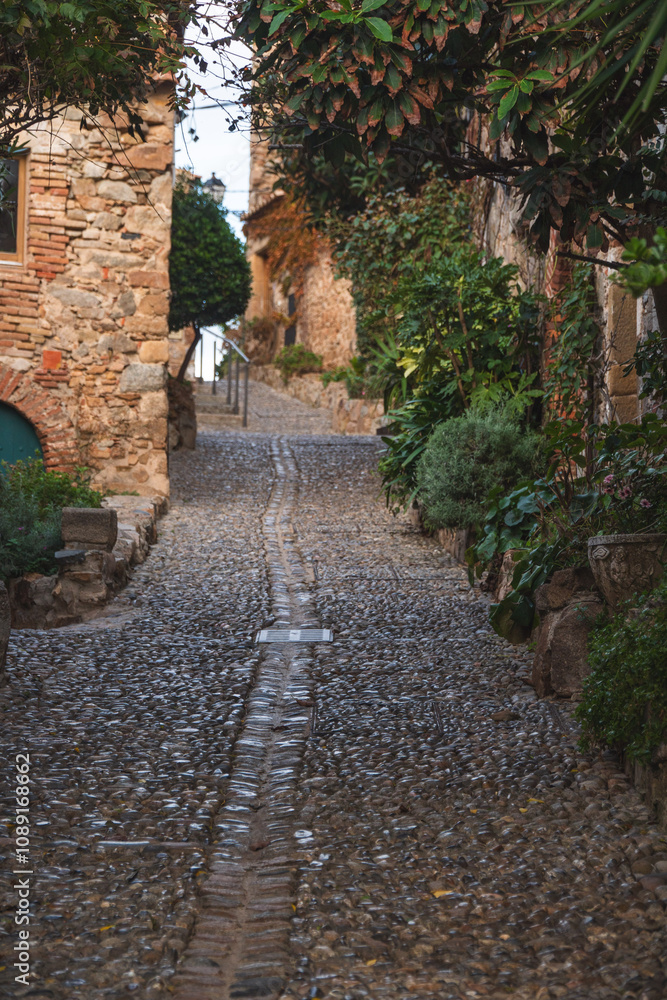 Fototapeta premium Charming cobblestone street in a historic village, surrounded by stone walls, lush greenery, and rustic architecture, capturing the timeless beauty of Mediterranean heritage. 